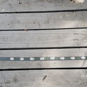 Leather Belt, Silver Tone Embellishment